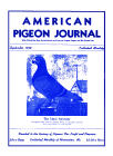 Magazine Cover